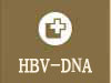 HBV-DNA